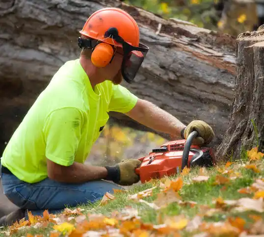 tree services Weidman